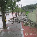 안양교도소 이미지