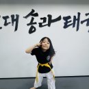 용인대학교 스타태권도장 이미지