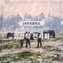 제주세계자연유산센터 세계유산전시관 | 세계자연유산센터 제주 국제사진 공모전 입상작 전시회