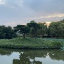 경기도 수원시 팔달구 수원천로392번길 이미지