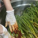 파뿌리김치찌게 | 맛있는 가정식 국내산 김치 추천 *^^* (소량으로 정성껏 만듭니다!)