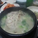 지리산옻닭 이미지