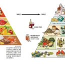 위메디컬 이미지