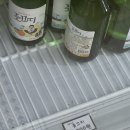 올레뜰 | 코스! 먹거리 천국 제주 동문,올레시장 다녀온 후기" "제주 감성 숙소 담뜰에서 힐링한 하루, 조용한...