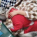 대박이하우스 이미지