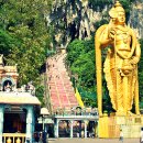 바투바투 이미지