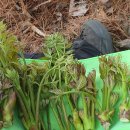 원창5리 이미지