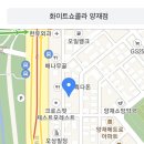 화이트 쇼콜라 양재점 Daum카페