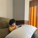 브라운힐프 이미지