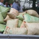 산내들 흑염소 이미지