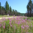 백화낚시터 이미지