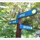 입화산참살이숲 이미지