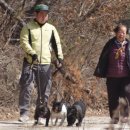 천상천하농장 이미지