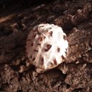 골짜기농장 이미지