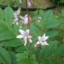 에버그린농장 이미지