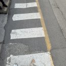 박계란미용실