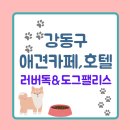 러버독&도그팰리스 이미지