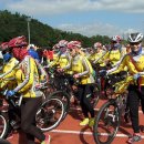 동구 구민화합축제 이미지