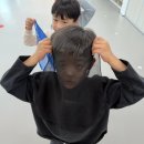 교대부설초 병설유치원 | 화려한 사진보다 더 소중한, 우리 아이들의 '진짜' 성장 기록 (노전초·대곡초·도원초·교대부설초)