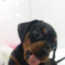 바우스토리 이미지