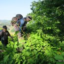 말뚝목장 이미지