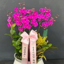 삼익꽃집