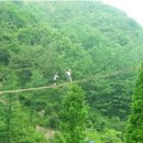 고산자연휴양림 이미지