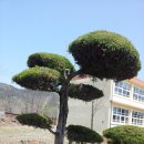 만덕초등학교 이미지