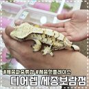 디어렙세종보람