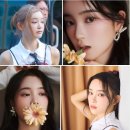 미우 이미지