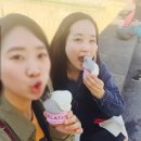 E-016 | 유럽 이탈리아 여행 피렌체 젤라또 그롬 비볼리 벤키 후기