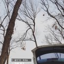 청라캠핑파크 이미지