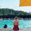 고양 통일워터파크 경기도 취사가능 야외수영장 방갈로 비교