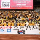 주고코리아 이미지