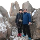 25리빙마트