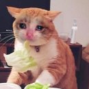 자담치킨강서구청점 이미지