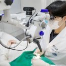 연세휴치과보존과치과의원 이미지