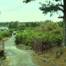 수아네 농장 이미지