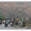 운정초등학교 이미지