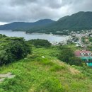 몬테드해머리 이미지