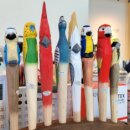 앵무새카페 | 🦜 하남 앵무새 카페 버드리 후기, 냄새 없고 깨끗해서 아이가 또 가자 한 곳