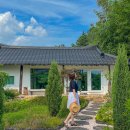 경주감성한옥숙소 둥굴스테이 이미지