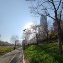 오케이행정사공인중개사사무소 이미지