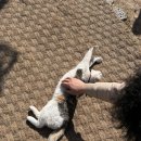 디벨롭커피로스터스