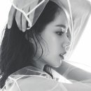 한가인 카카오 검색결과