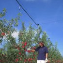 각골농장 이미지