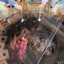 해뜨는힐링하우스 이미지