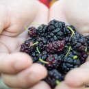 이포보 웰빙캠핑장 이미지