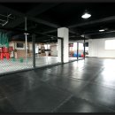 최무배짐 이미지