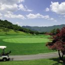 필로스골프클럽 이미지